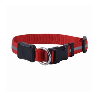 NITE DAWG LED DOG COLLAR- ปลอกคอพร้อมไฟ LED (Size Small)