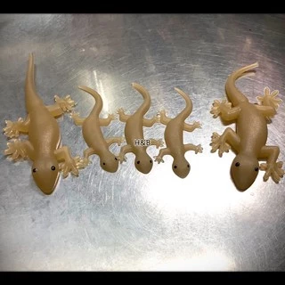 จิ้งจกปลอม​ จิ้งจกยาง (6ตัว) ของเล่นแมว ของเล่นแกล้งคน Lizard จิ้งจก ตุ๊กแก