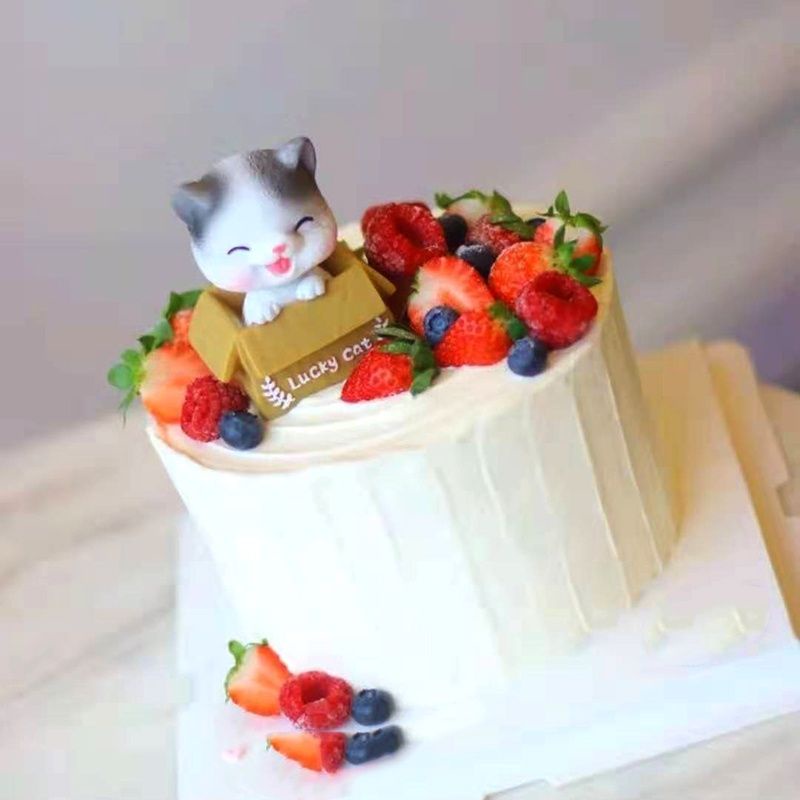 ตุ๊กตาแต่งเค้ก  แมวกล่อง  ใช้แต่งเค้ก - รูปที่ 6