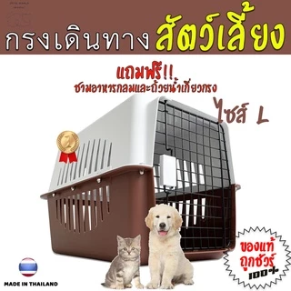LittleTree กล่องเดินทางสัตว์เลี้ยง ไซส์ L 40x60x40 ซม. กรงเดินทางแมว สุนัขเล็ก พลาสติก PP แถมแผ่นปูพื้น
