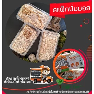 สแฟ็กนั่มมอส แบ่งขาย Sphagnum moss บรรจุกล่องขนาดและปริมาณของสินค้าตามที่ระบุไว้ อ่านก่อนสั่งซื้อ