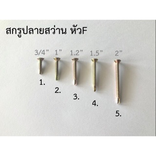 สกรูปลายสว่าน สกรูหัวแฉก สกรูเจาะเหล็ก ชุปรุ้ง ขนาด 3/4”-2”