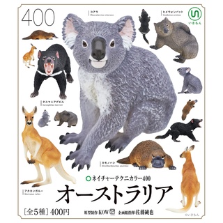 (เพิ่มครบชุดพร้อมส่ง) Gachapon กาชาปองสัตว์ออสเตรเลีย Australian Animal Kitan Club โมเดลสัตว์