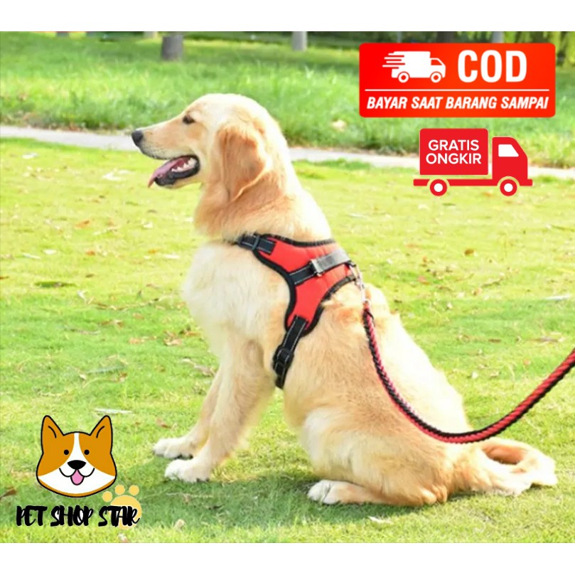 HERNESS SMALL - แมวสุนัขขนาดใหญ่พร้อมสายรัดประตูนําเข้า