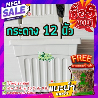 5แถม1ฟรี🔸กาบมะพร้าวสับ กระถางต้นไม้ 12” กระถางขาว กระถางปลูกต้นไม้ กระถางกุหลาบ กระถางปลูกบอน กระถางใหญ่ เนื้อดี