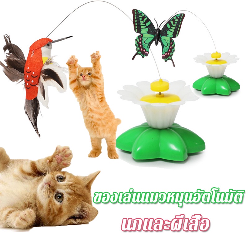 😻พร้อมส่ง😻ของเล่นแมว ของเล่นแมวหมุน นกไฟฟ้าและผีเสื้อ