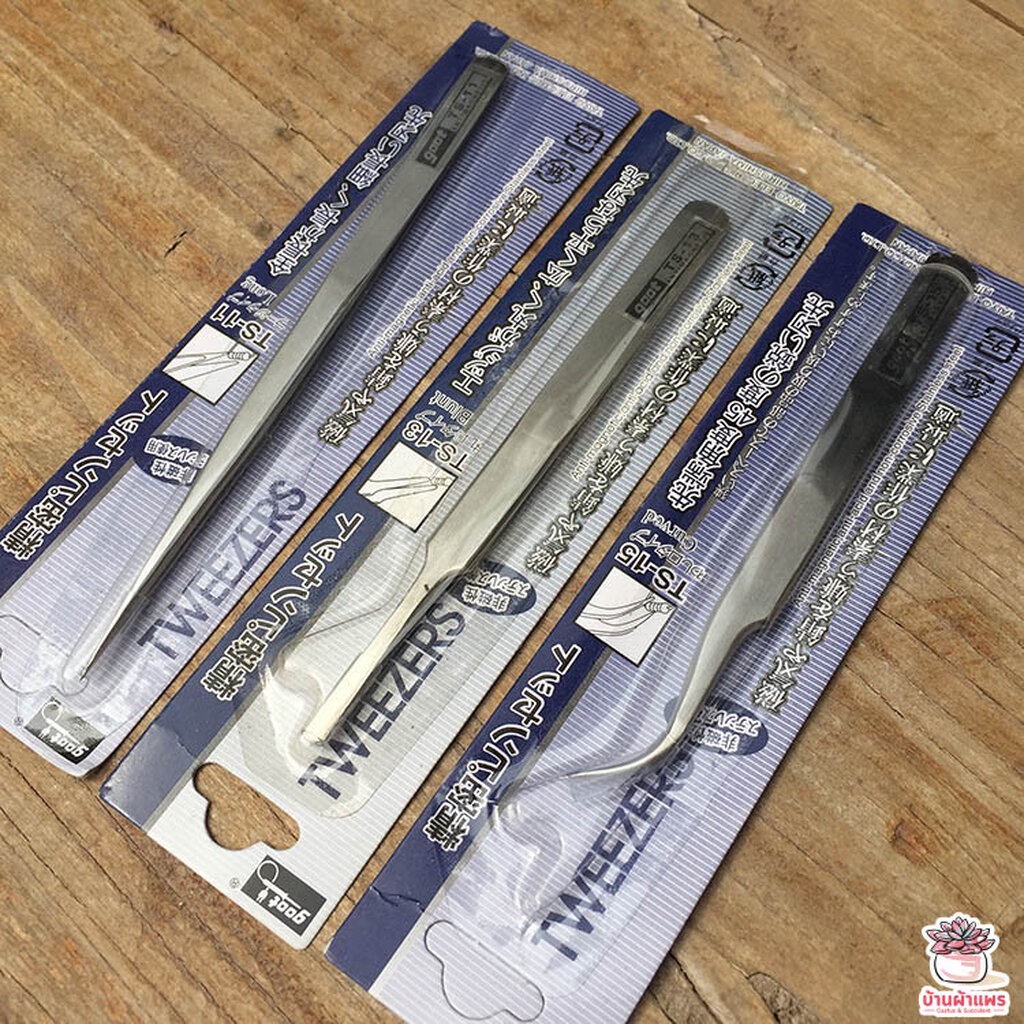 ฟอเซปญี่ปุ่น Forcep ฟอเซป ปากคีบ อุปกรณ์ช่วยปลูกต้นไม้ แคคตัส กระบองเพชร cactus&succulent - รูปที่ 2