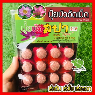 🔥 ถูกสุดสุด 🔥ปุ๋ยบัว ปุ๋ยอัดเม็ด ปุ๋ยสปา บัว เร่งต้น เร่งใบ เร่งดอก ดอกใหญ่ ดอกหนา ออกดอกบ่อย ขนาด 12 เม็ด