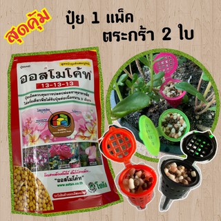 ออสโมโค้ท 100 กรัม แถมตระกร้าปุ๋ย  (Osmocote)13 -13-13 แบบซอง ไม้อวบน้ำ กุหลาบหิน cactus&amp;succulent เร่งต้น โตไวไม้กระถาง