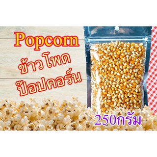 ข้าวโพดป๊อปคอร์น ป๊อปคอร์น popcorn เกรดพรีเมี่ยมอเมริกา 250กรัม