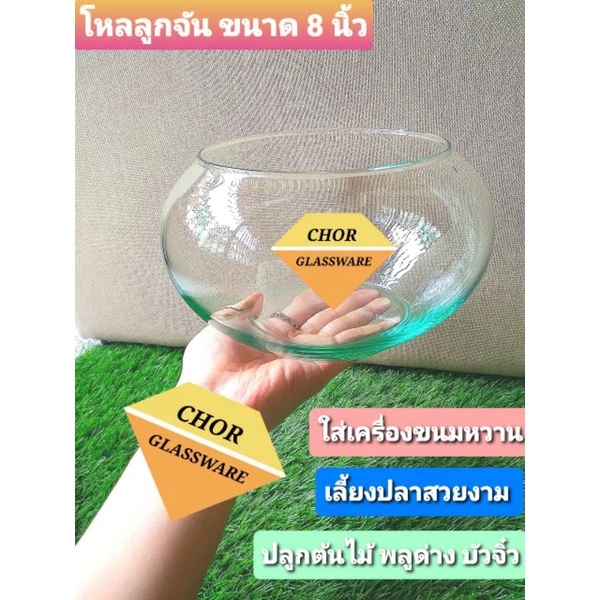 โหลแก้วลูกจัน 6 นิ้ว 7 นิ้ว 8 นิ้ว ( พร้อมส่ง ) ใส่ขนมหวาน เครื่องปรุง ใส่เครื่องน้ำเเข็งไส บัวจิ๋ว เลี้ยงปลา จัดสวน
