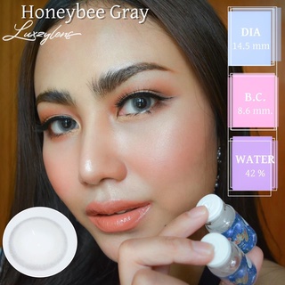 คอนแทคเลนส์ ขนาดมินิ Honey bee (Luxzylens) สีเทา แถมตลับทุกคู่