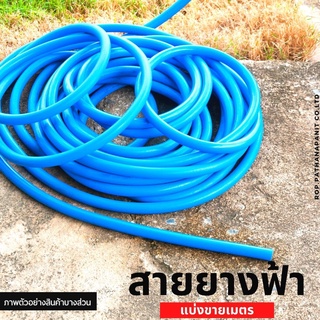 สายยางฟ้า 4,5,6,1 หุน (1/2",5/8,3/4,1") สายยางฟ้าเด้ง สายยางฟ้านิ่ม สายยางฉีดน้ำ ตัดแบ่งขายเป็นเมตร