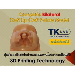 Cleft Lip Palate (Bilateral) Surgical Training Model หุ่นจำลองทางการแพทย์