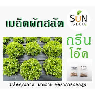 เมล็ดสลัด กรีนโอ๊ค (Green Oak) 10 บาท 100-120 เมล็ด เพาะง่าย อัตราการงอกสูง ผัก เมล็ดผัก เมล็ดพันธุ์ สลัด ผักสลัด