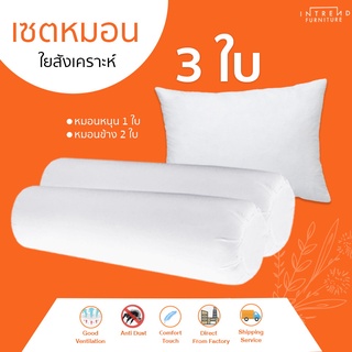 Furniture Intrend หมอนหนุน 1 ใบ  พร้อม หมอนข้าง 2 ใบ ในราคาสุดคุ้ม 3 ชิ้น ในโปรเดียว