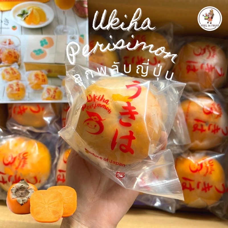 พลับญี่ปุ่นแท้ Ukiha (ふゆうがき) ส่งรถเย็น หวาน กรอบ อร่อย