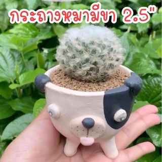 กระถาง​หมา​มี​ขา​ 2.5 ", กระถางปลูกแคคตัส, กระถางกระบองเพชร, กระถางแฮนด์เมด, Clay pot, Cactus pots,กระถางดินเผา