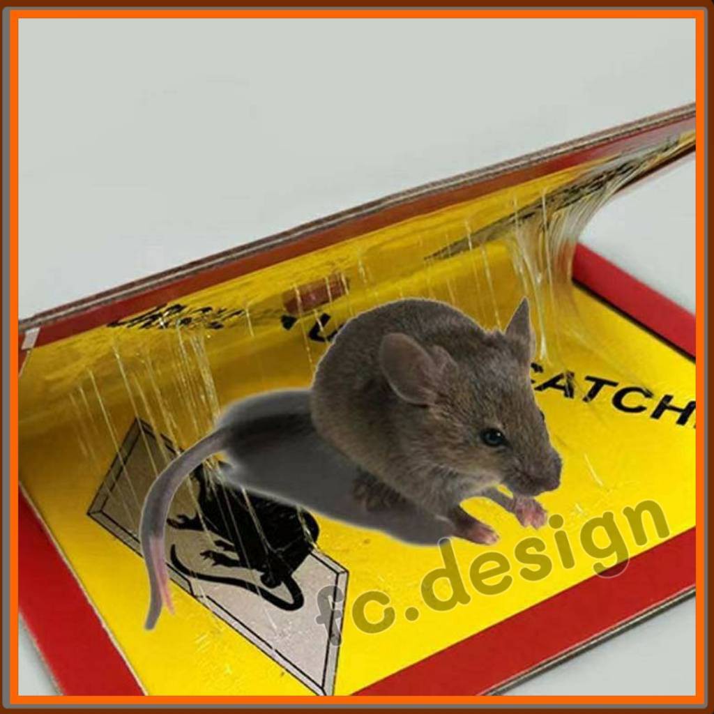🐭🐭กาวดักหนู ORIGINAL แบบสำเร็จรูป ไม่มีกลิ่นเหม็น #G-0024