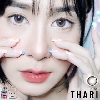 คอนแทคเลนส์ Wink Thari Gray // Brown