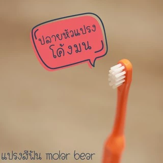 0-3 ขวบ+ Molar Bear แปรงสีฟันเด็ก ขนนุ่ม หัวแปรงขนาดเล็ก