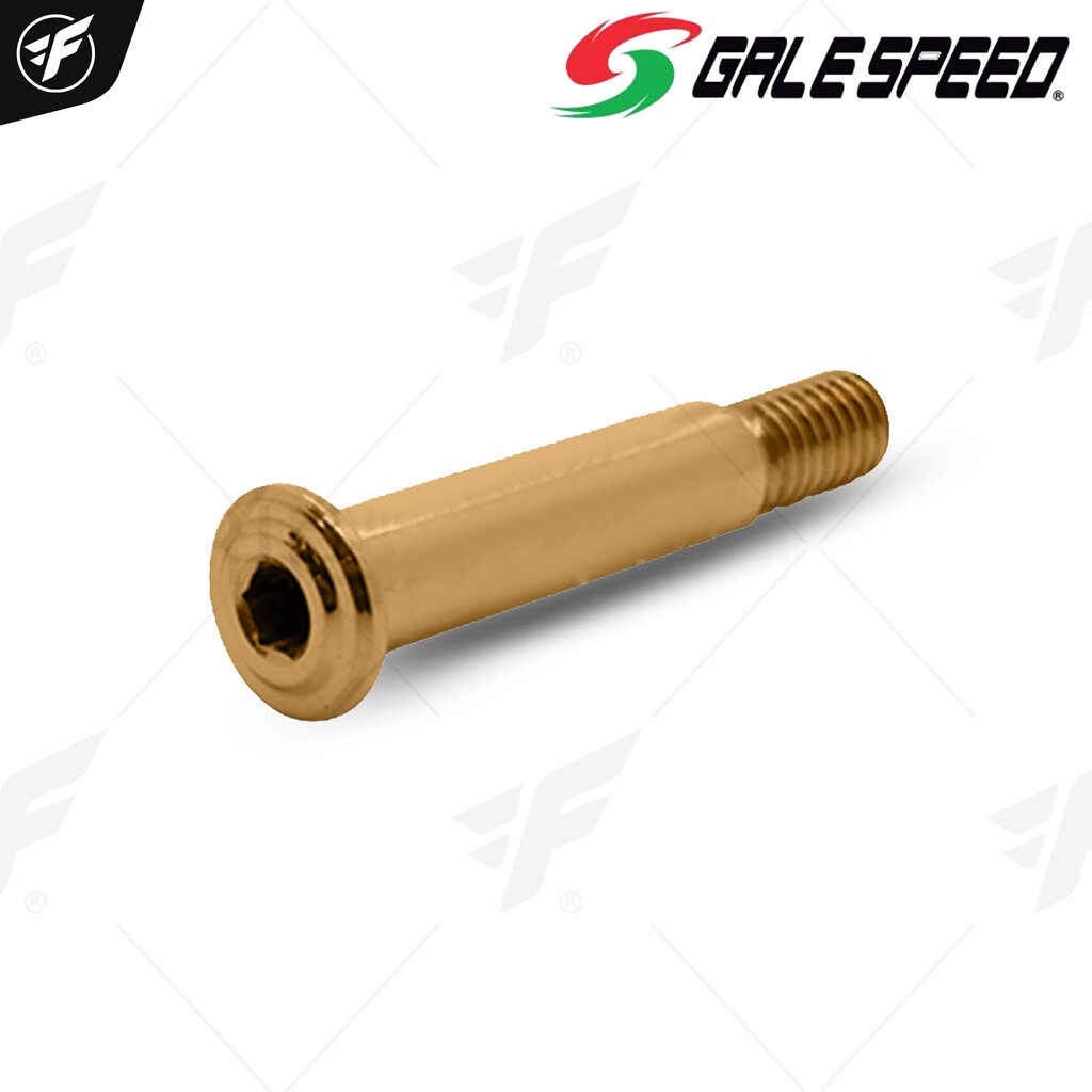 หมุดทองปั๊มเบรคบน GALESPEED VRE/VRD/VRC/RE/RD/RM