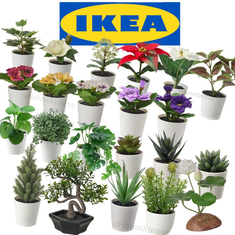 พร้อมส่ง！！ IKEA FEJKA ต้นไม้กระถางประดิษฐ์+กระถาง อิเกีย เฟคก้า🌳สูงรวม 12-18 ซม.🔥แท้💯🔥พร้อมส่งไวเวอร์⚡ต้นไม้ปลอม Suc