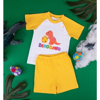 D3 TOP &amp; SHORTS DINOSAUR SET