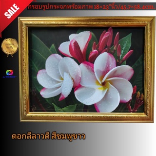 กรอบรูปกระจก พร้อมภาพ ดอกลีลาวดี สี แดงชมพู  ขนาด 18×23"นิ้ว