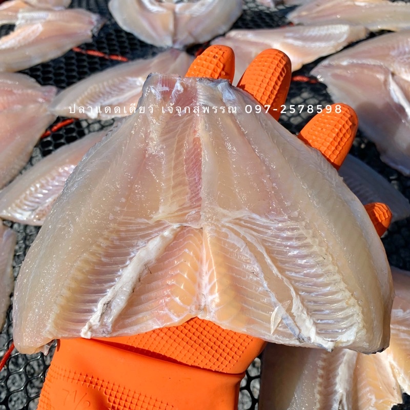 ปลานิลแร่ แดดเดียว  5-8 ตัว 500 กรัม เค็มน้อยจ้า