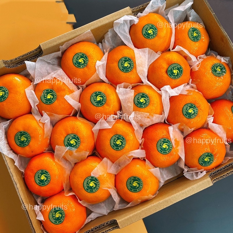 ส้มไต้หวันตรานกแก้ว พรีเมียม ก.เหลือง 7 กิโล