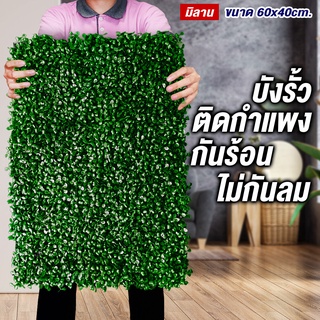 หญ้าเทียม"40x60cm."หญ้าตีนเป็ด หญ้ามิลาน ใบเฟิรน์ ยูคา กำแพงสวนรั้วต้นไม้ปลอม หญ้าติดผนัง ติดระแนง