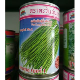 ถั่วฝักยาว จอมพล เบอร์1 100กรัม ตะวันต้นกล้า