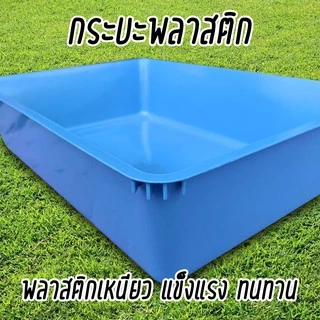 กระบะพลาสติก กระบะอเนกประสงค์ ถาดพลาสติก กระบะทรายแมว