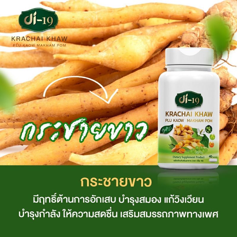 กระชายขาว di19+มาขามป้อม สมุนไพรหลายชนิด