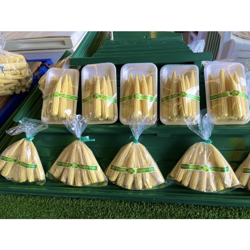 ข้าวโพดอ่อน 🌽((แพ็ค)) บรรจุ 500 กรัม