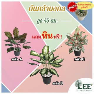 ((ต้นไม้มงคล!)) ต้นคล้ามงคล เสมือนจริง สูง 45 ซม. #ต้นไม้ปลอมตกแต่งบ้าน Leeartplants (๑อต)