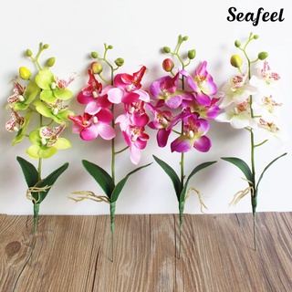 Seafeel ดอกกล้วยไม้ประดิษฐ์ Diy สําหรับตกแต่งบ้าน 1 ชิ้น