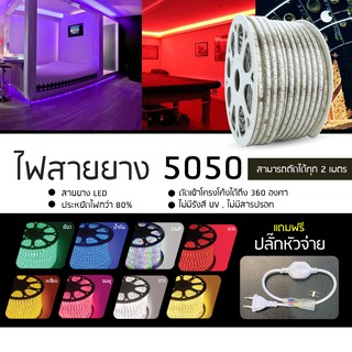 Banana Stores ไฟสายยาง ไฟสายยางท่อแบน รุ่น 5050 LED 220V ขนาด 50 เมตรและ 100 เมตร จำหน่ายยกม้วนแถมปลั๊กหัวจ่าย 3 เส้น