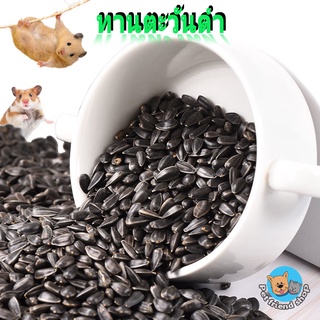 ทานตะวันดำ 3J เม็ดเล็ก Black Sunflower Seeds สำหรับนกแก้วทุกสายพันธุ์ และสัตว์ฟันแทะ (แบ่งขาย 500g) NO.B021