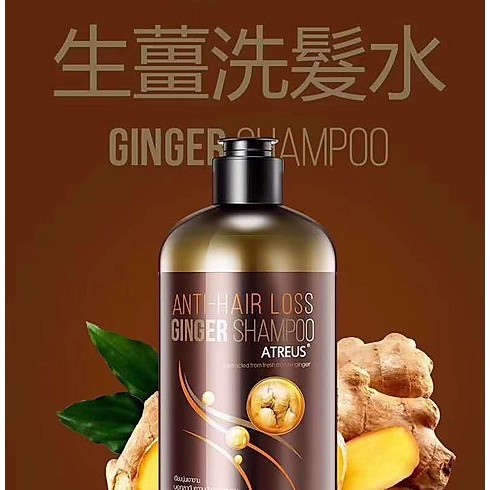 Atreus Ginger Shampoo แชมพูสำหรับบำรุงหนังศีรษะ 400 มล.
