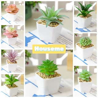 [พร้อมส่งจากไทย💥] ต้นไม้กระถางประดิษฐ์ + กระถาง แท้100% ต้นไ…