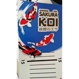 SAKURA  สติ๊กเกอร์ Premium Sakura Koi