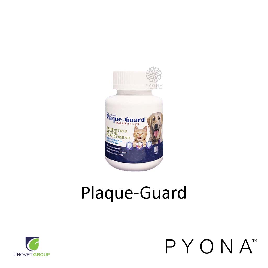 Messi Plaque-Guard ขนมเสริมโพรไบโอติกสำหรับดูแลช่องปาก 60 เม็ด