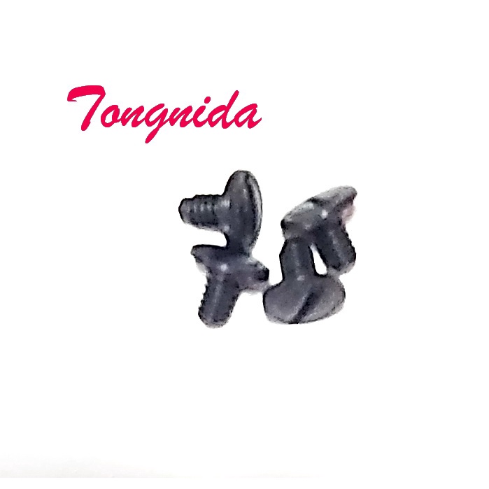 น็อตขันหน้าหมวกกันน็อค Spacecrown Fighter (1ชุด=4ตัว)