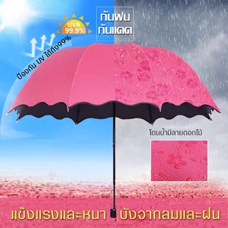 ร่มกันแดดuv สีน่ารัก ร่มกันฝน ร่มกันแดด ร่มกันUV ร่มกันยูวี ร่มพับได้ ร่มพับ ร่มuv ร่มแคปซูล ร่มแฟชั่น Umbrella ร่มพกพา