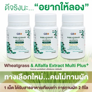 ** โปร 3 กระปุก 90 เม็ด ** ผักเม็ด Wheatgrass &amp; Alfalfa Extract Multi Plus+ Q10 (ฟรีค่าส่ง)