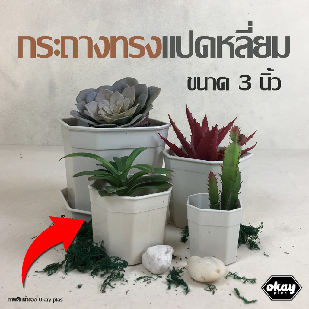 ขั้นต่ำ 10 ใบ Okay plas กระถางแปดเหลี่ยม แบบใส ขนาด 4 นิ้ว
