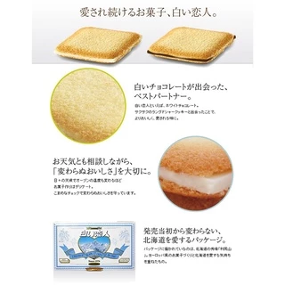 [พร้อมส่ง] Shiroi Koibito Hokkaido Premium Chocolate Blancet ชิโรอิ ขนมคุกกี้ไส้ไว้ท์ช็อกโกแลต นำเข้าจากญี่ปุ่น