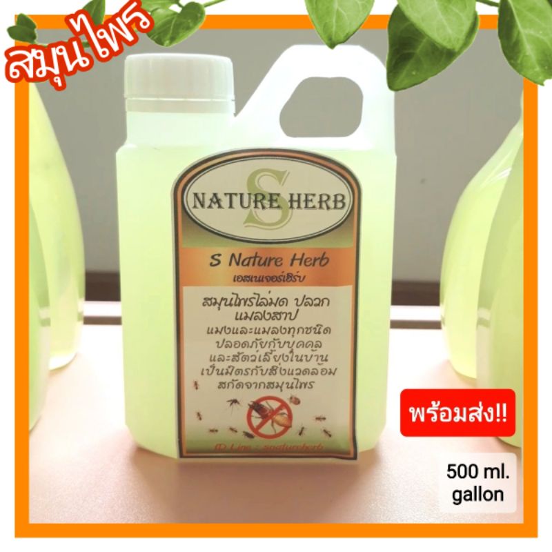 กำจัดมด กำจัดปลวก กำจัดแมลงสาบ แมงและแมลงคลาน6-8ขา ใช้ง่ายปลอดภัยกับเด็กและสัตว์เลี้ยง 500 ml. gallon ราคา ถูกที่สุด ดีลบีเคเค